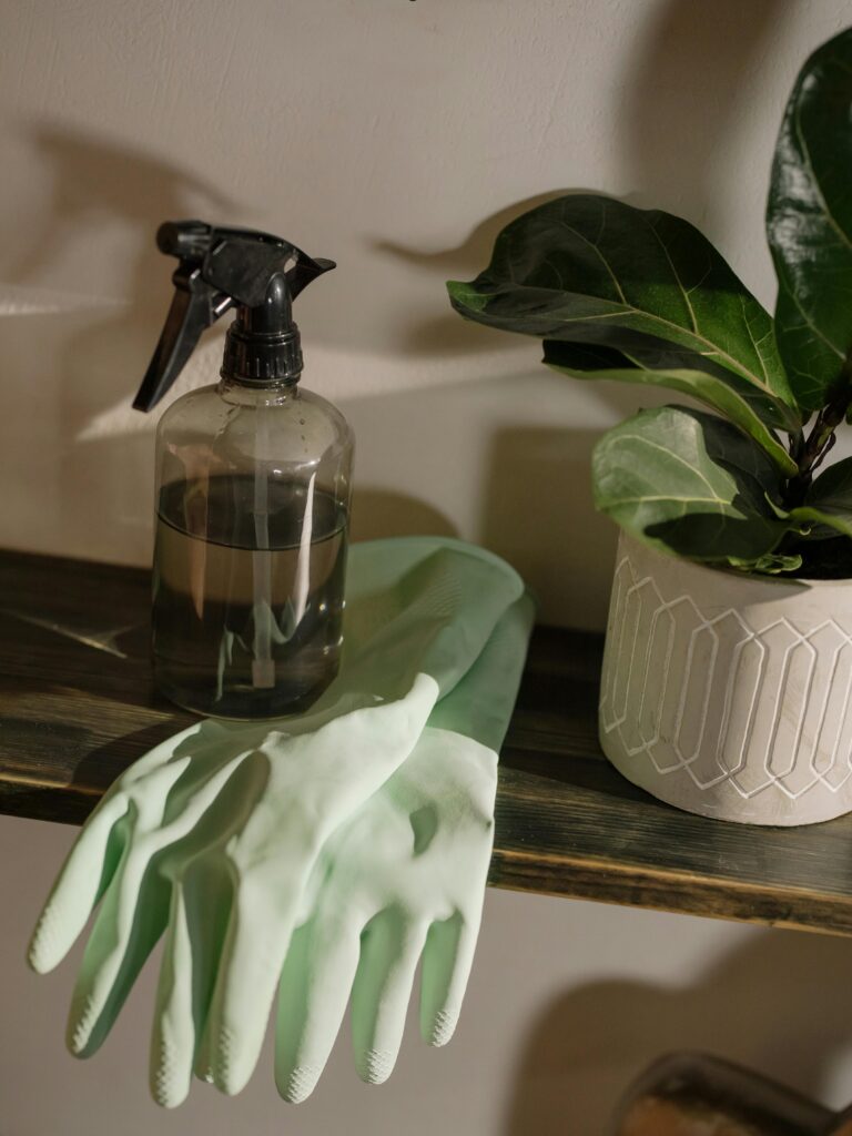 pexels photo 4107120 4107120 A stylish cleaning setup featuring green gloves, a spray bottle, and a potted plant.